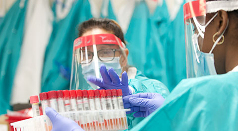 Lab staff with vials